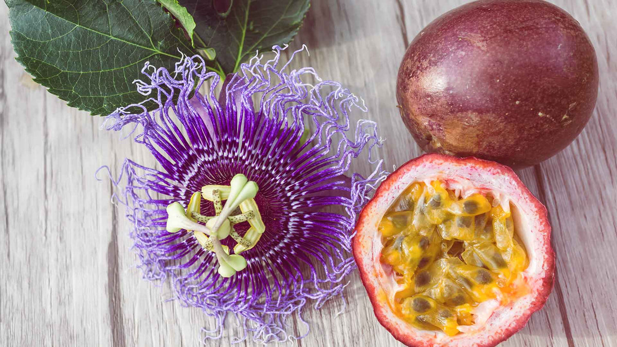 Eine schöne lila gelbe Passionsblume neben einer halben Maracujafrucht
