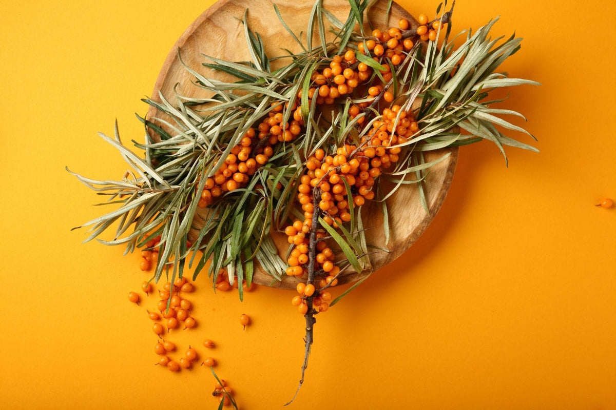 Auf einem rustikalen Holztablett auf gelb orangenem Hintergrund sind Sanddornbeeren, Sanddornblätter und Zweige schön angeordnet