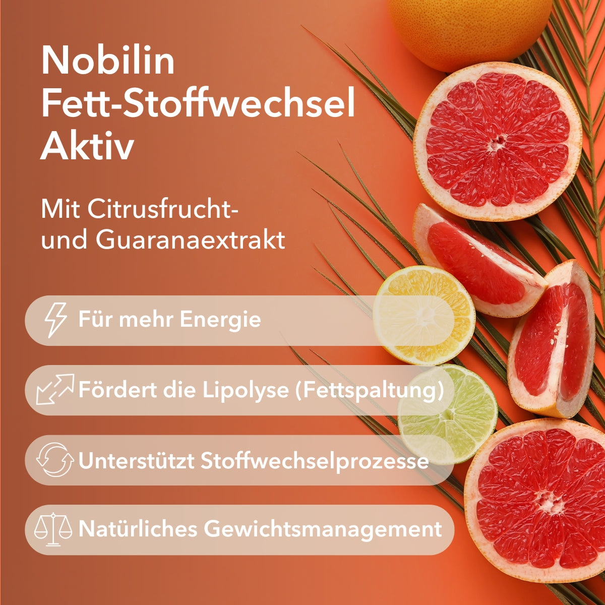 Produktinformationen zu Nobilin Fett-Stoffwechsel Aktiv mit der Angabe von vier Anwendungsgebieten: Lipolyse, für den Stoffwechsel, für mehr Energie und für das natürliche Gewichtsmanagement