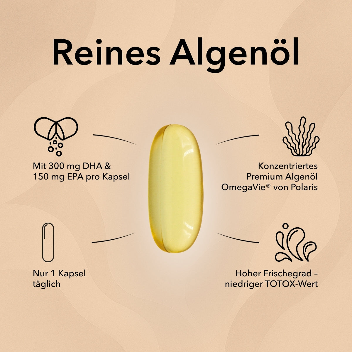 Abgebildet ist eine einzelne Kapsel Omega 3 Vegan Algenöl von Medicom mit Angabe der Inhaltsstoffe und weitere Produktinformationen wie 300 mg DHA und 150 mg EPA, Tagesdosis nur 1 Kapsel, konzentriertes Algenöl von OmegaVie® von Polaris, hoher Frischegrad niedriger TOTOX-Wert