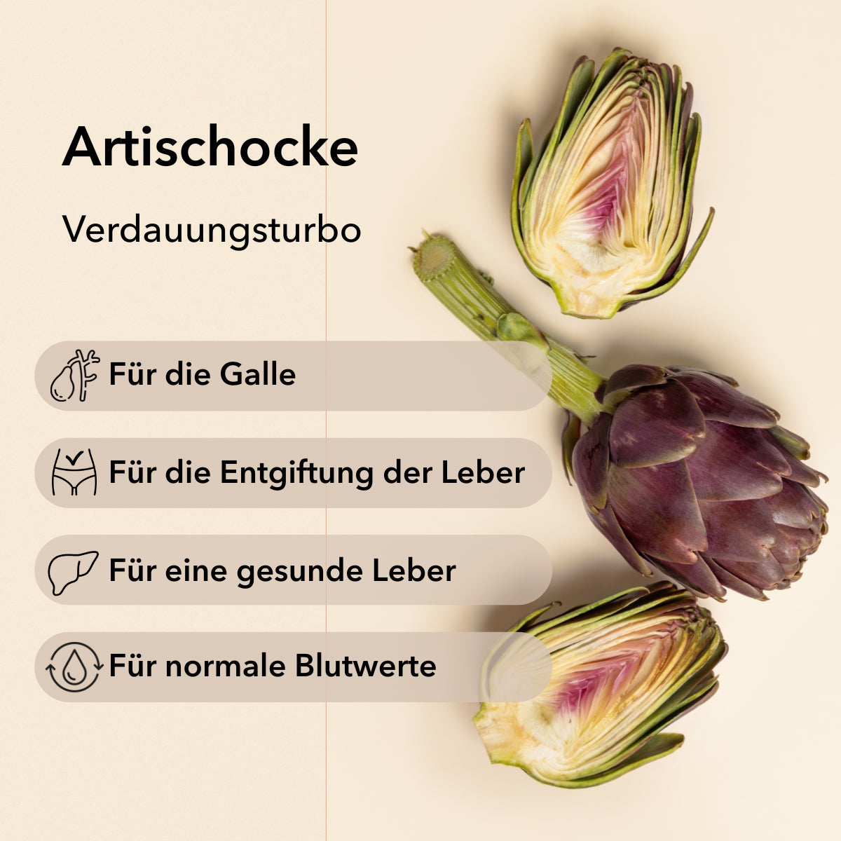 Produktinformationen zu Artischocke von Medicom – Verdauungsturbo, für die Galle, für die Entgiftung der Leber, für eine gesunde Leber und für normale Blutwerte.
