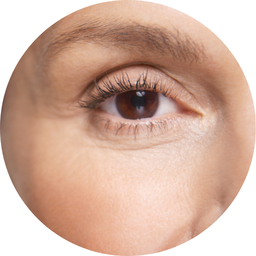 Nahaufnahme eines weiblichen Auges. Das Auge ist braun. 