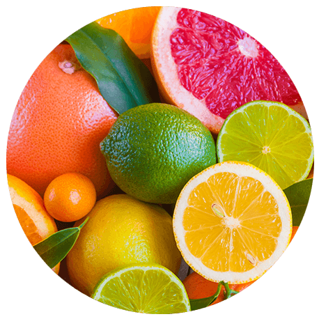 Nahaufnahme von bunten Zitrusfrüchten wie Zitronen, Pampelmuse und Orangen.