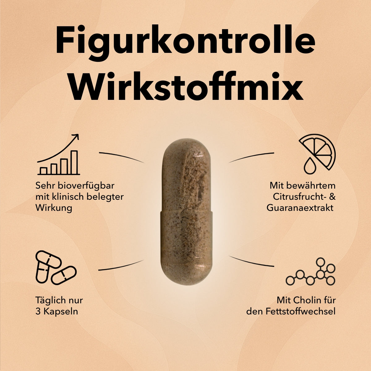 Die Kapsel von Nobilin Fett-Stoffwechsel Aktiv mit Produktinformationen zu Inhaltsstoffen, Cholin für den Fettstoffwechsel, Tagesdosierung 3 Kapseln, sehr bioverfügbar, mit bewährtem Citrusfrucht- und Guaranaextrakt