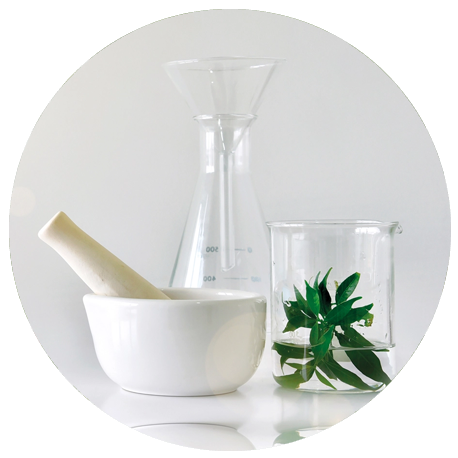 Utensilien eines Labors, ein Reagenzglas, Mörser und Blätter in einem Glasbehälter