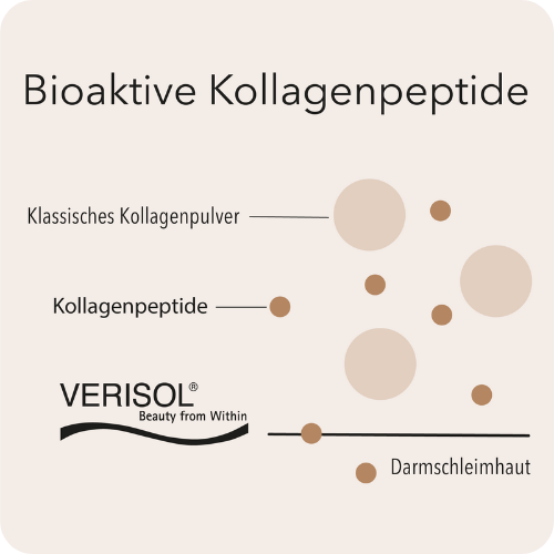 Grafik, die erklärt wie bioaktive Kollagenpeptide durch die Darmschleimhaut gehen und vom Körper besser verwertet werden können.