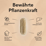 Die Kapsel von Mariendistel mit Produktinformationen dazu mit folgendem Text: Mariendistelsamen-Extrakt, auf mind. 80 % Silymarin standardisiert, gut für die Lebergesundheit, 100% vegan, gluten- und laktosefrei, pflanzliches Mittel für die Leber