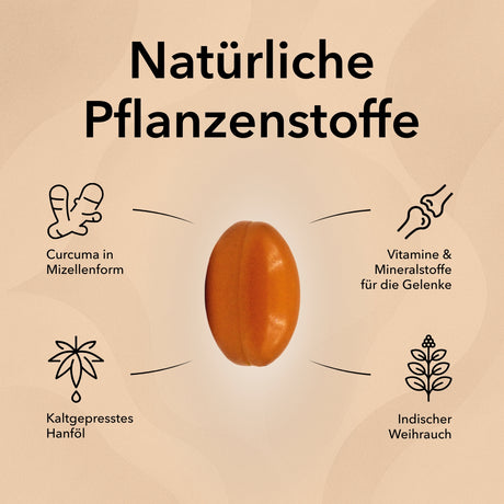 Produktinformationen zu Nobilin Gelenk Complex®: Curcuma, Hanföl und Weihrauch, innovativ und wirksam, bekannt aus der Heilpflanzenkunde, mit wichtigen Gelenkvitaminen, unterstützt Beweglichkeit sowie die Verzehrempfehlung. Die Kapsel von Nobilin Gelenk Complex in der Mitte