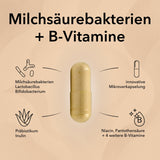 Die Kapsel von ProBasis mit Produktinformationen: Bakterienkulturen, Inulin, Niacin, B-Vitamine