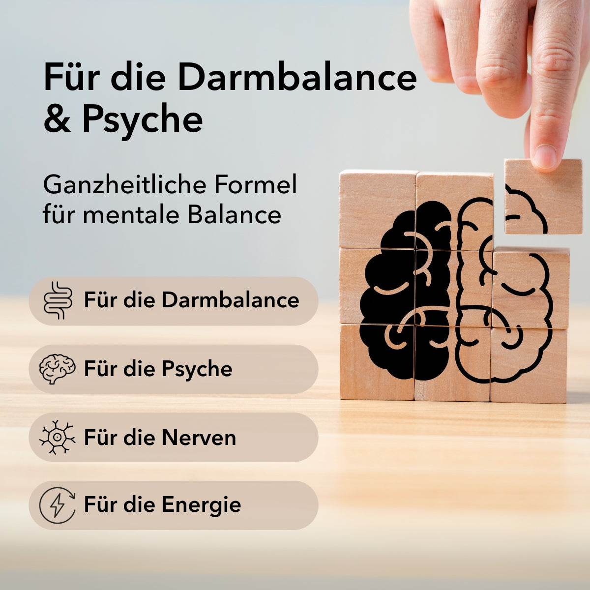 Produktinformationen im Detail zu dem Medicom Produkt ProMental mit Angabe der Anwendungsgebiete: für die Darmbalance, Psyche, Nerven und Energie.