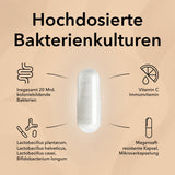Produktinformationen zu ProMental mit diesen Informationen:
Starke Kombination: Milchsäurebakterien & Vitamin B6
Natürlich und wirksam
Bulletpoint 1: Bewährte Milchsäurebakterien – insgesamt 20 Mrd. KBE
Bulletpoint 2: Optimale Kombination mit Gehirn-Vitamin B6
Bulletpoint 3: Ganzheitliche Unterstützung 
Verzehrempfehlung und rechts im Bild eine Hand mit Kapsel
