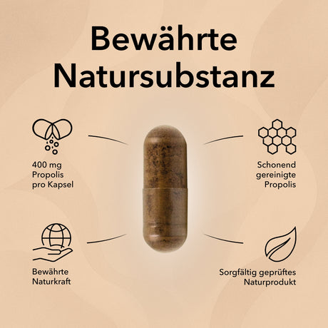 Propolis Produktinformationen mit folgenden Angaben: Gereinigte Propolis, stärkend aus dem Bienenreich, 1 Kapseln pro Tag, Naturprodukt, 400 mg Propolis pro Kapsel