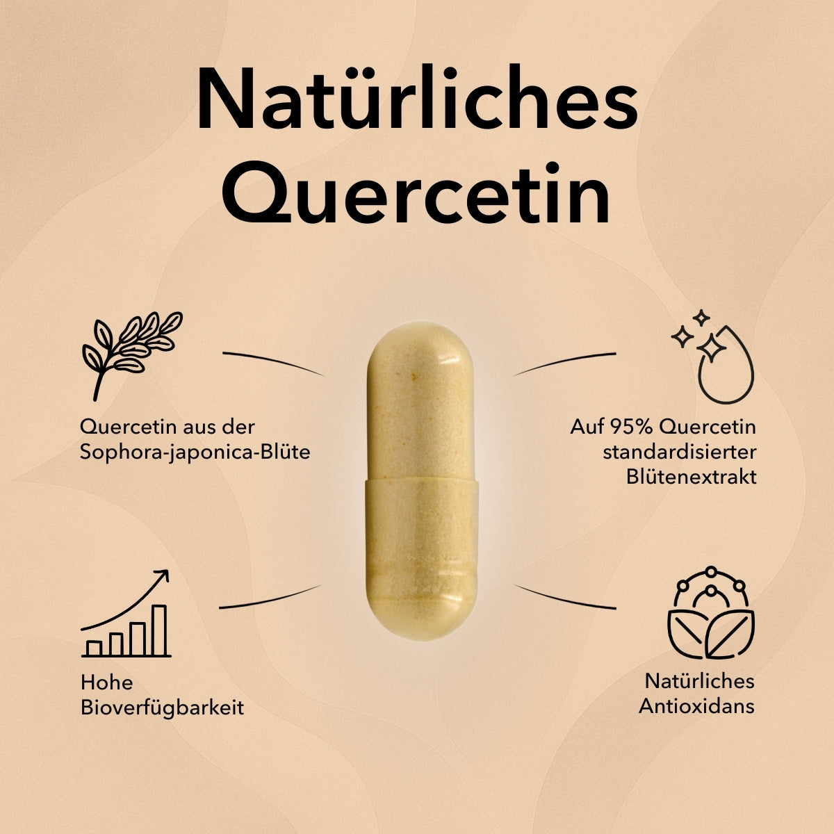 Die Produktdose von Quercetin und zwei  Kapseln davor. Produktinformationen zu Quercetin: Natürliches Quercetin – hochdosiert
Icon 1: Quercetin aus der Sophora-japonica-Blüte
Icon 2: Hohe Bioverfügbarkeit
Icon 3: Auf 95% Quercetin standardisierter Blütenextrakt 
Icon 4: Natürliches Antioxidans
